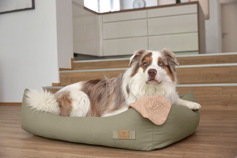 PALOPA Hundebett Fred Salbei Hundebett mit Rand waschbar