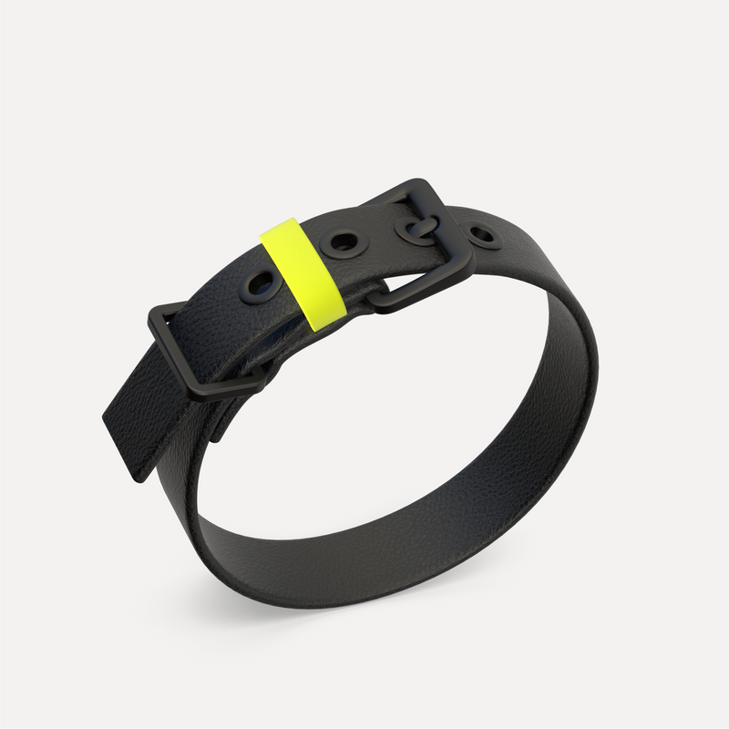 pawpow Halsband C01 - Black Hundehalsband Biothane