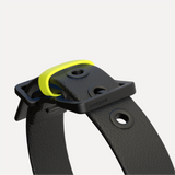 pawpow Halsband C01 - Black Hundehalsband